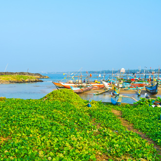 Vissersbootjes in haven van Hikkaduwa, Sri-Lanka