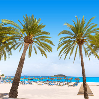 Twee palmbomen op het strand van Magaluf