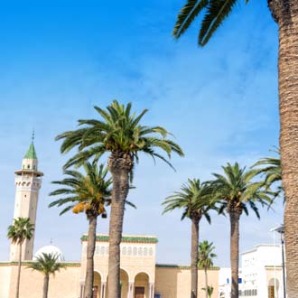 Palmbomen bij de moskee in Monastir