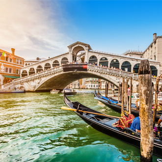 Rialto Brug met gondels in Venetie Italie