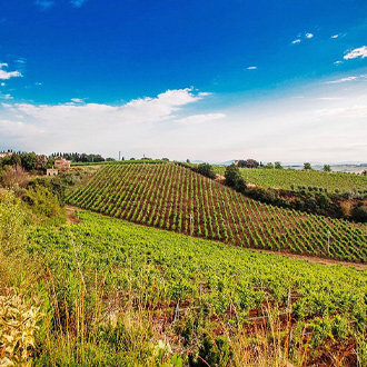 Foto van de wijngaarden en landschap van Tavarnelle Val di Pesa