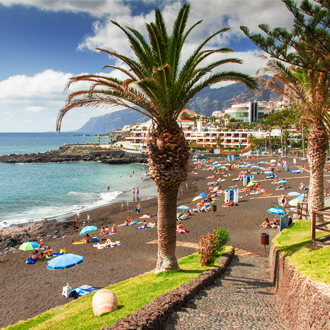 Het lavastrand met de zee en palmbomen in Playa de la Arena op Tenerife, Spanje