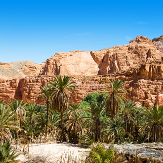 Uitzicht op de bergen en palmbomen in Egypte