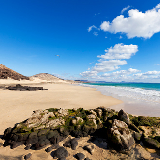 <p>Foto van het strand van Esquinzo op Fuerteventura</p>