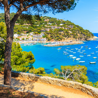 <p>Camping Costa Brava</p>