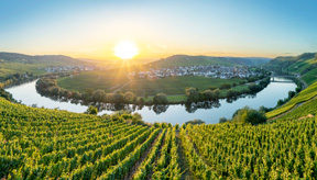 <p>Sfeerbeeld van Eifel</p>