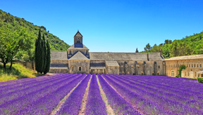 <p>Sfeerbeeld van Provence</p>
