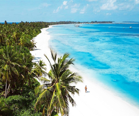 <p>Wit strand met palmbomen in het Dhaalu Atol Malediven</p>