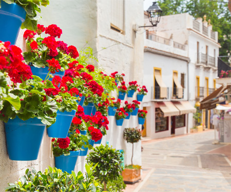 <p>Bloempotten aan de muren in Marbella</p>