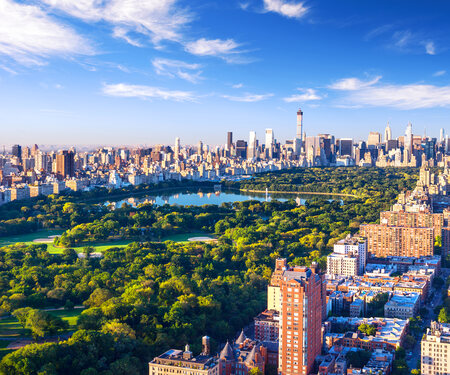 <p>Central Park in New York City</p>