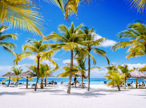 <p>Palm Beach in Aruba</p>