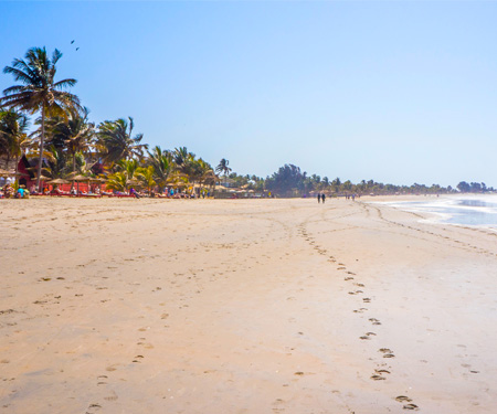 <p>Wit strand met palmbomen in Kotu</p>