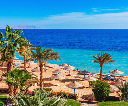 <p>Vakantie Sharm El Sheikh<br data-mce-bogus="1"></p>
