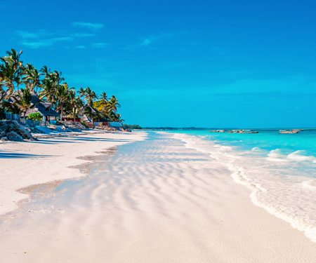 <p>Wit strand met palmbomen in Jambiani op Zanzibar</p>