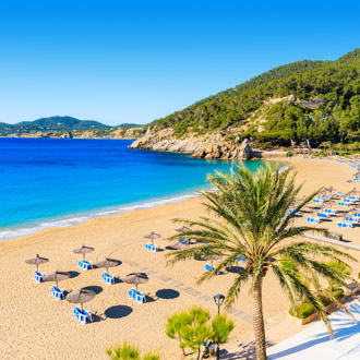 <p>Cala San Vicente strand op Ibiza</p>