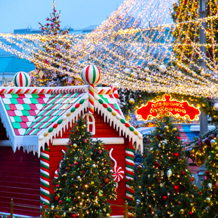 Volop kerstdecoratie in Brussel