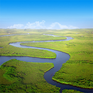 Slingerende rivier die door een uitgestrekt groen landschap loopt, gezien van bovenaf, met brede bochten door dichte begroeiing langs de Gambia rivier.