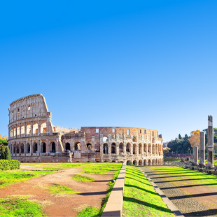Het Colosseum in Rome met omliggend groen en blauwe lucht op de achtergrond.