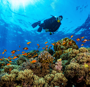 Duiken op Bonaire