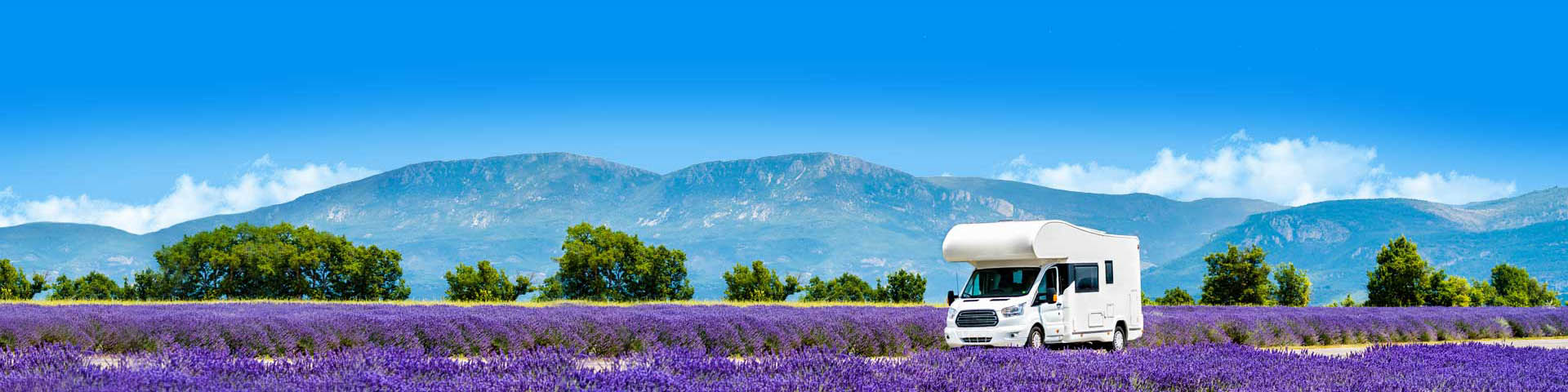 Camper in een lavendelveld in Frankrijk