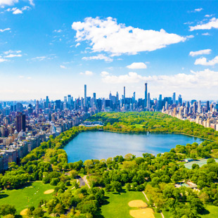 Central Park in New York met een open grasveld, groene bomen en wolkenkrabbers op de achtergrond onder een heldere lucht.