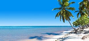 Het strand, de zee en een palmboom op de Dominicaanse Republiek