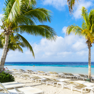 Jan Thiel Beach op Curaçao met wit zandstrand, palmbomen, ligbedden en helderblauw water onder een zonnige lucht.