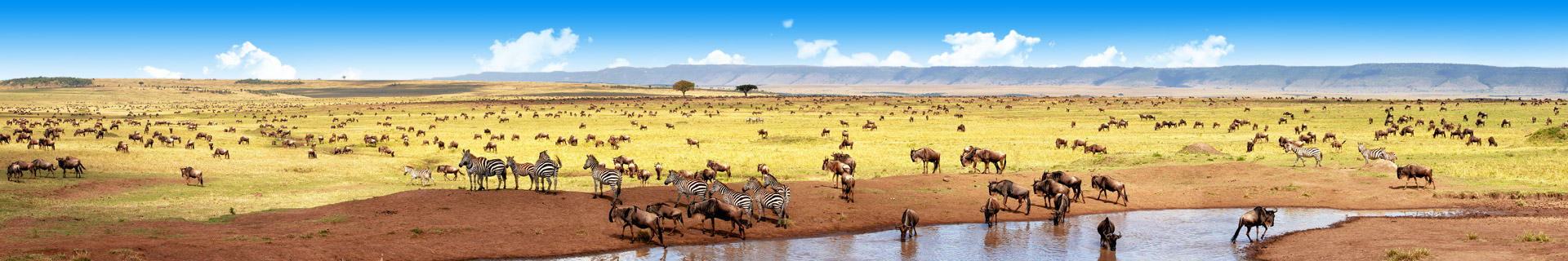 Natuurpark in Kenia