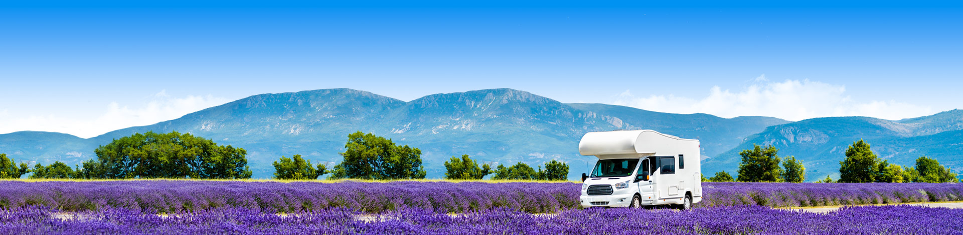 Een auto in de lavendelvelden met een last minute vakantie naar een camping in Frankrijk