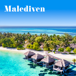 Waterbungalows rusten aan het helderblauwe water, omringd door tropische palmen op de Malediven.