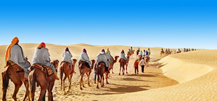 Woestijn met kamelen en blauwe lucht in Marokko