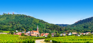 Sfeerbeeld van een Frans dorpje in wijngaarden