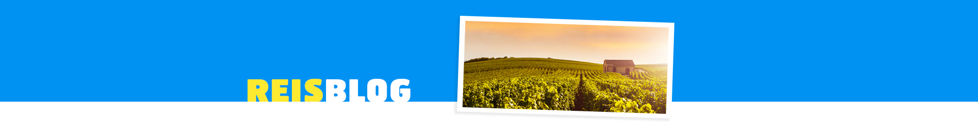 Filmlocaties Champagne: roadtrip door de Champagnestreek