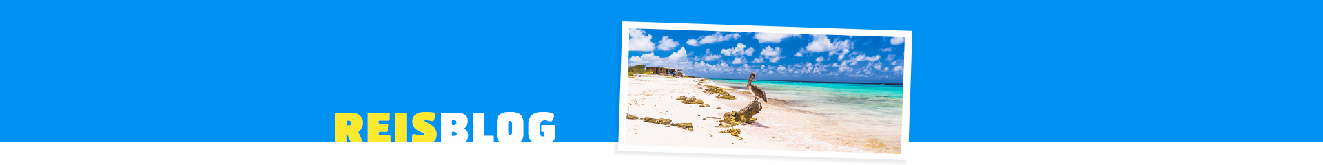 Snorkelen en duiken op Bonaire