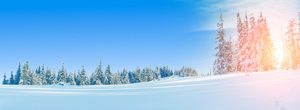 landschap in Finland in de winter