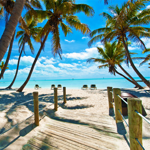 Houten pad leidt naar zonnig strand met palmbomen in Key West, Florida, USA.