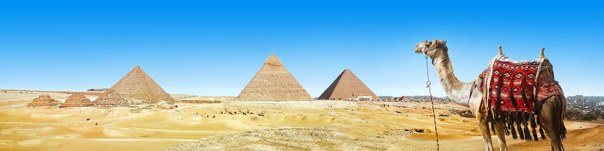 Pyramides en kamelen in Egypte