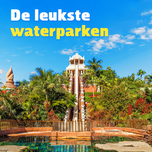 Groot waterpark met veel glijbanen