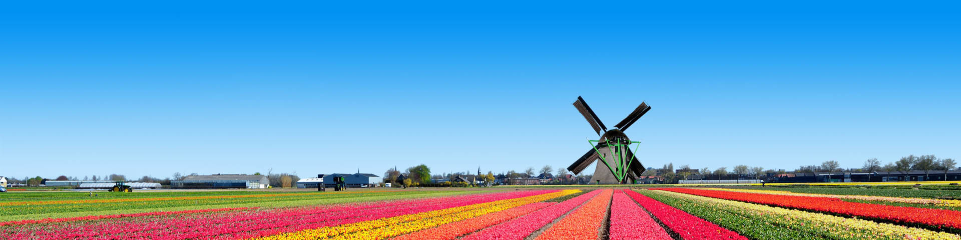 Tulpenvelden in Nederland