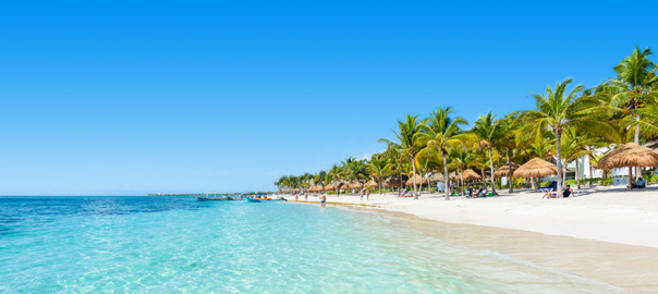 Tropisch zandstrand met helderblauwe zee en palmbomen