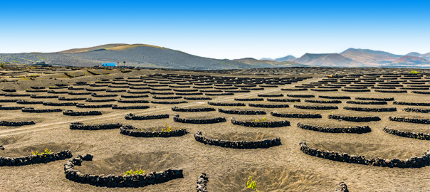 Top 5 excursies op Lanzarote!